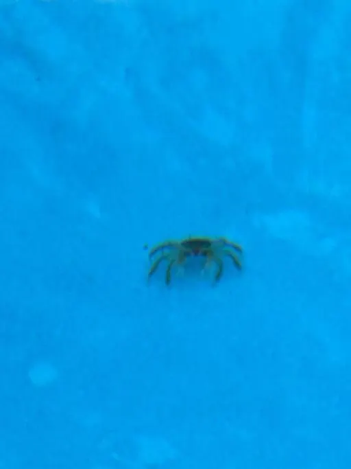 Prázdninový dům Vila Caira Del Mar Beach House Boquerón